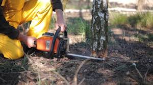 Leaf Removal in Rutherford, PA